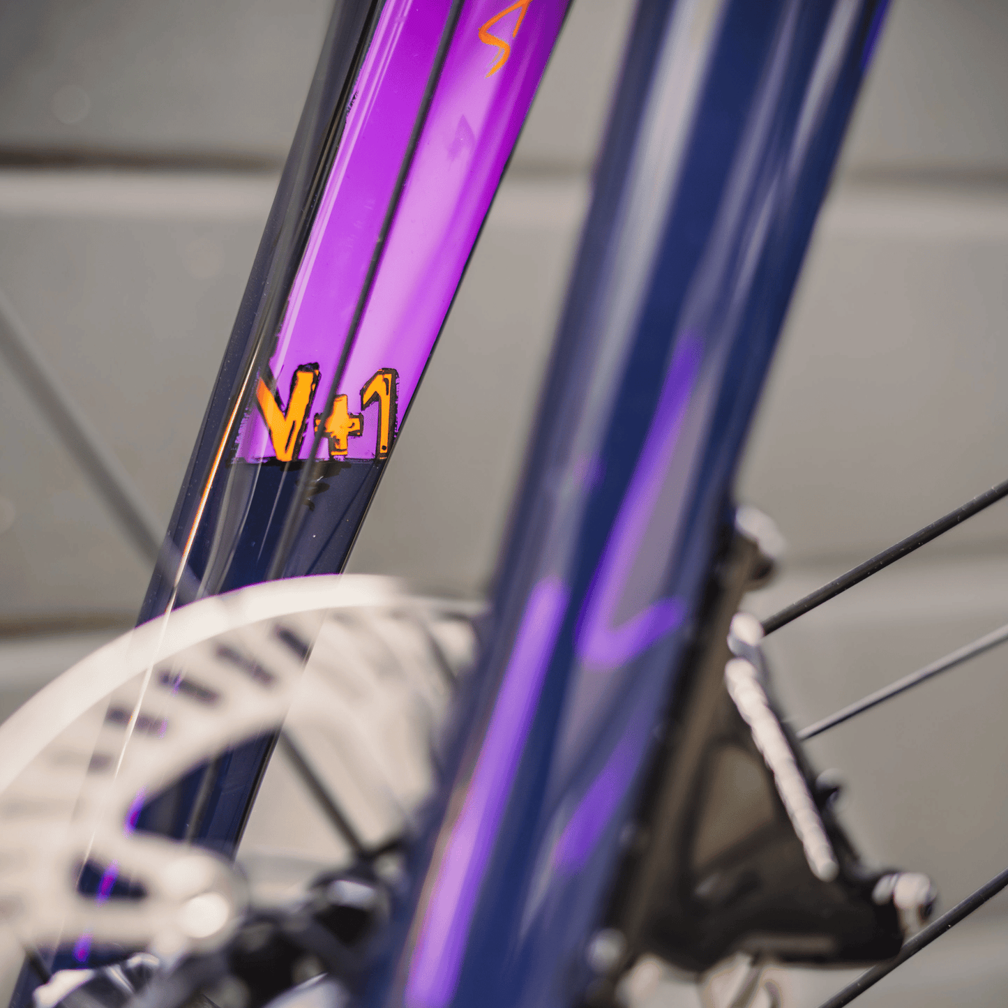 Vielo V+1 Atelier - Comic Art - Campagnolo Super Record with Bora X wheels