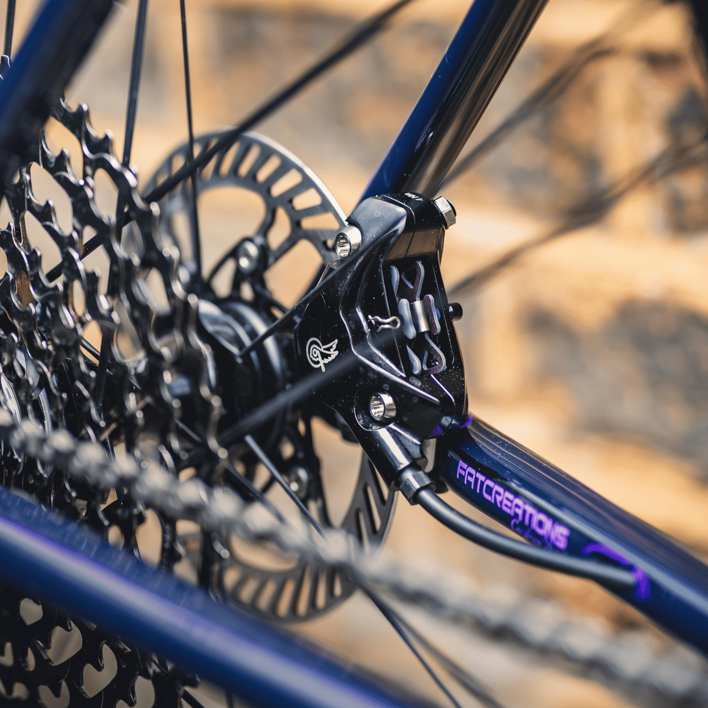 Vielo V+1 Atelier - Comic Art - Campagnolo Super Record with Bora X wheels