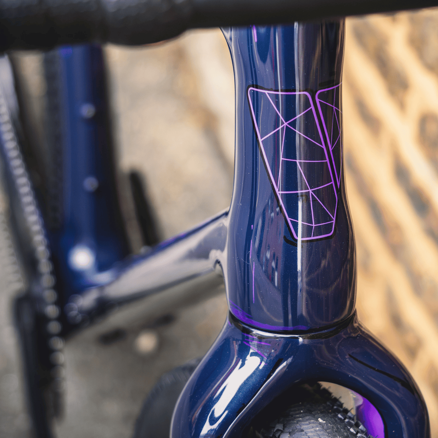 Vielo V+1 Atelier - Comic Art - Campagnolo Super Record with Bora X wheels
