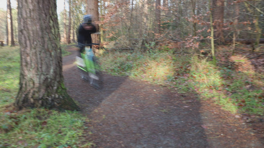 Vielo V+1 Race Edition 2.1 (UDH) Frameset - Cool Green