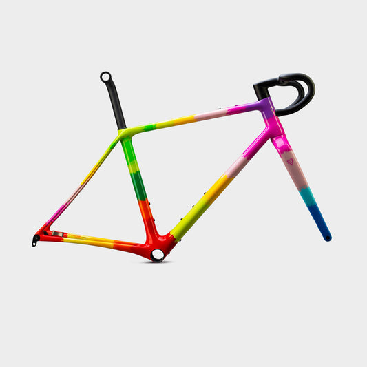 V+1 WTB Race Edition Frameset - Repack Rainbow